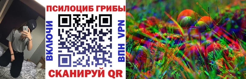 Псилоцибиновые грибы Cubensis  как найти   Сысерть 